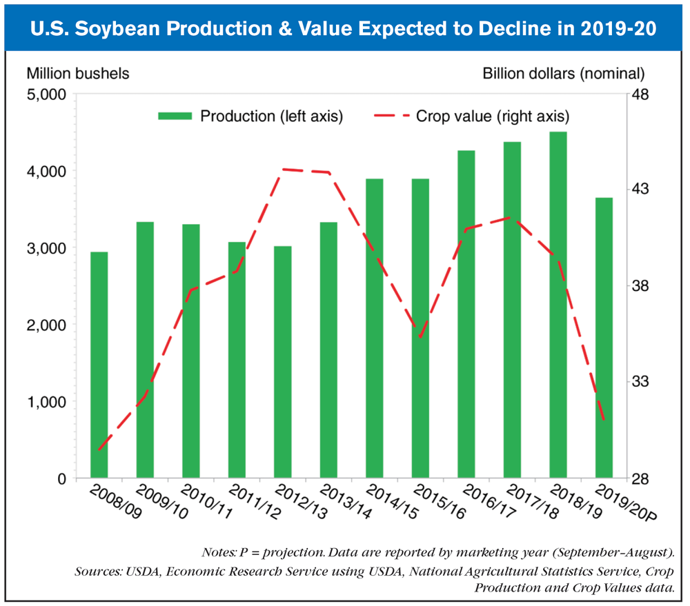 ussoybeanproductiontodecline