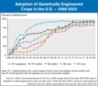 genitically modified seeds 1996-2020